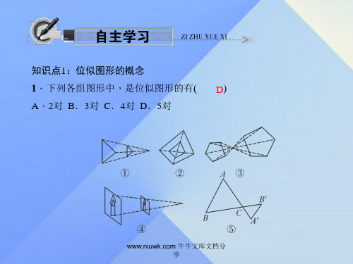 九年级数学上册48图形位似1新版北师大版