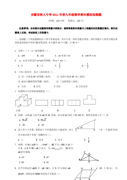 安徽省树人中学2011年秋九年级数学期末模拟检测题