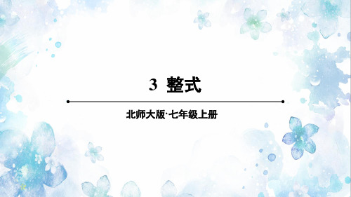 《整式》PPT课件 北师大版