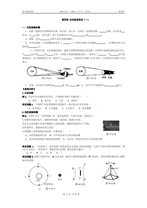 八年级物理上册 第四章 在光的世界里学案(一)
