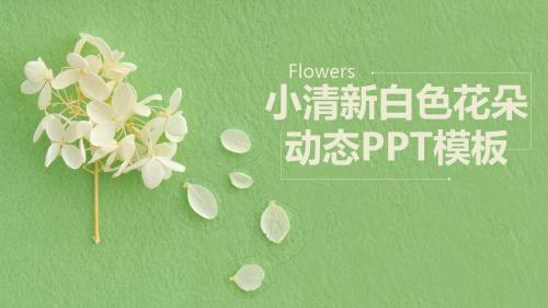 【通用PPT模板】36小清新白色花朵