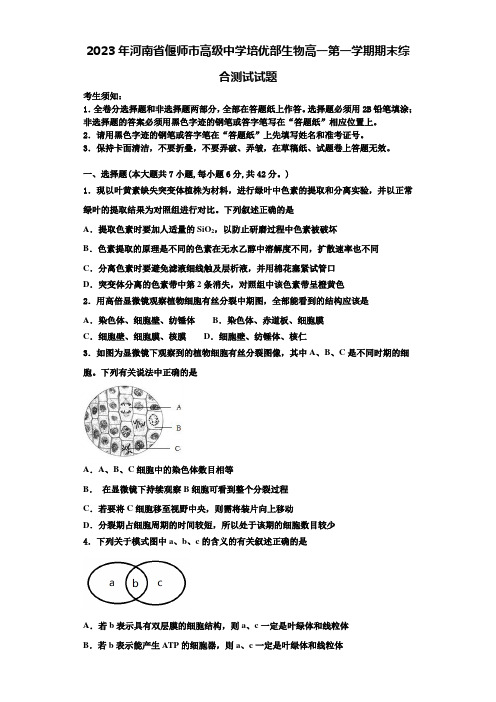 2023年河南省偃师市高级中学培优部生物高一第一学期期末综合测试试题含解析