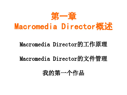 Director教程1