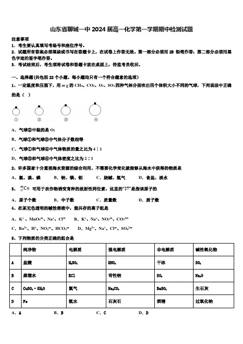 山东省聊城一中2024届高一化学第一学期期中检测试题含解析