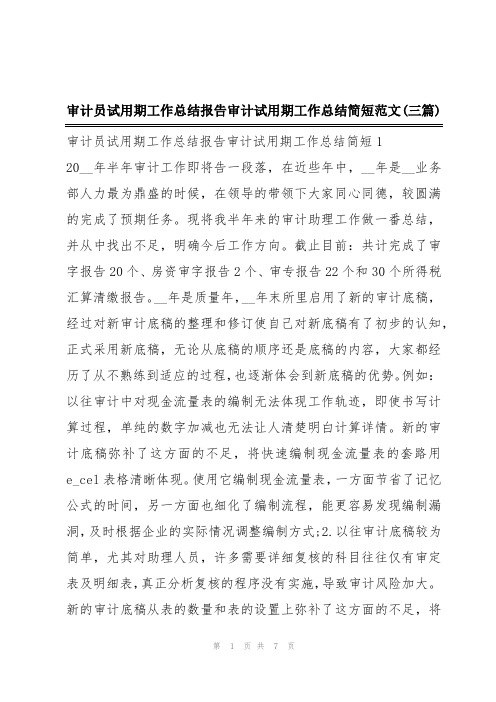 审计员试用期工作总结报告审计试用期工作总结简短范文(三篇)