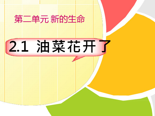 【优质课、示范课、研标课、公开课】油菜花开了【课件设计】.ppt小学科学