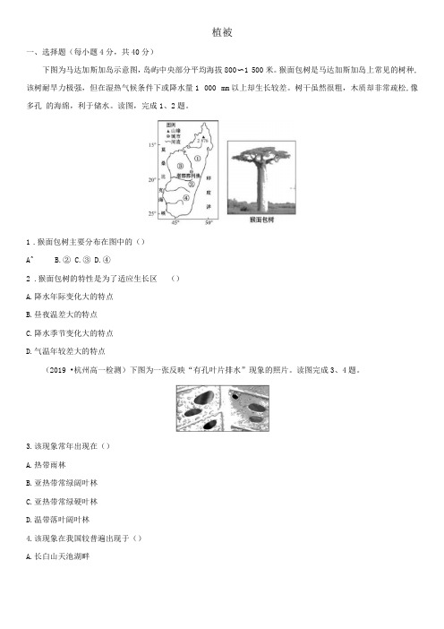 新人教版高一地理必修1课后练习题植被