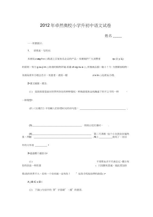 人教版小学升初中语文考试试题精选附答案