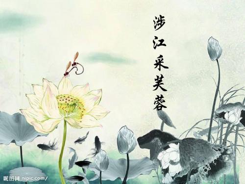 涉江采芙蓉 (1)