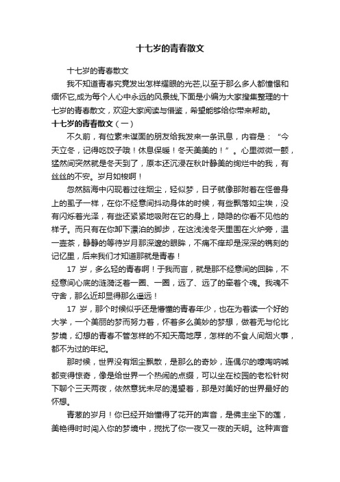 十七岁的青春散文