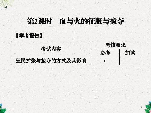 人民版高中历史必修二课件：专题5.2-血与火的征服与掠夺