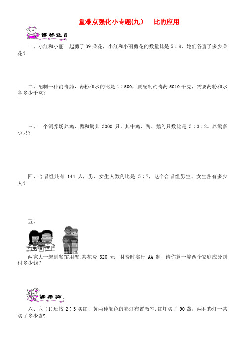 六年级数学上册第六单元比的认识重难点强化小专题(九)