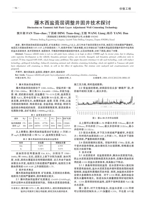 雁木西盐膏层调整井固井技术