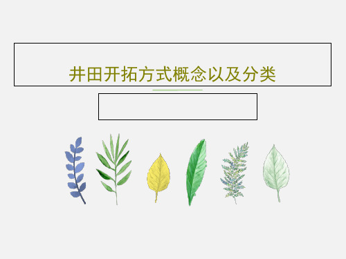 井田开拓方式概念以及分类44页PPT