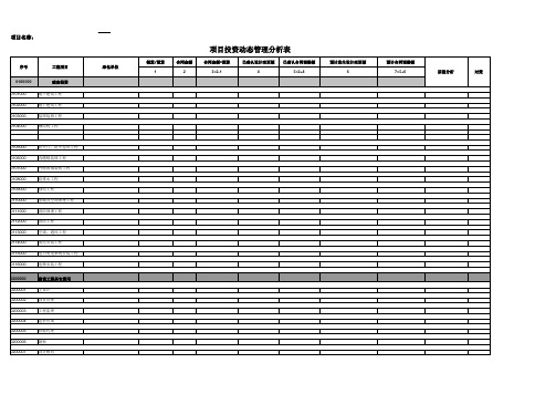 工程项目动态投资管理分析表 模板