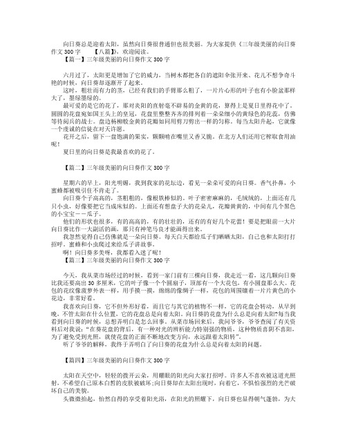 三年级美丽的向日葵作文300字【八篇】.doc