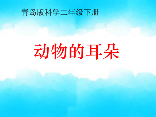 青岛版科学二年级下册《动物的耳朵》课件