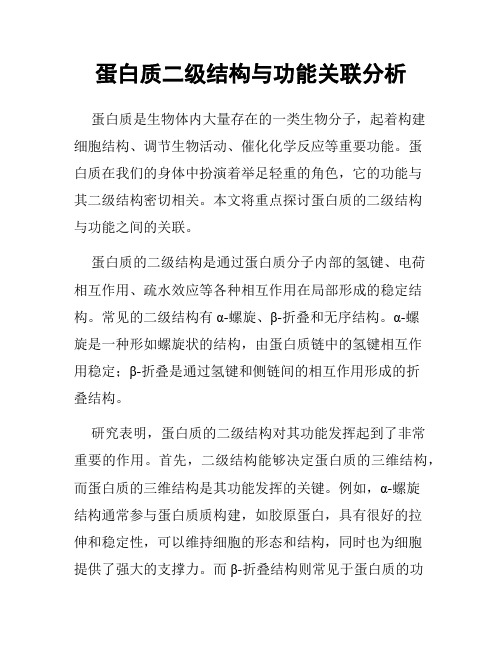 蛋白质二级结构与功能关联分析