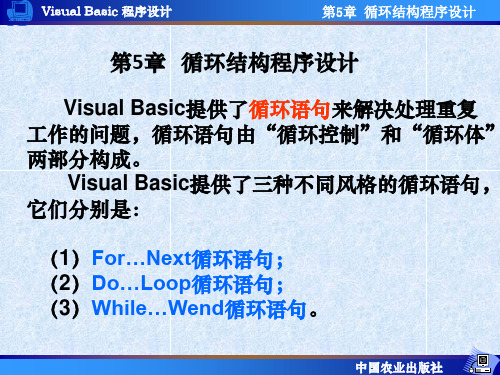 Visual Basic程序设计第5章