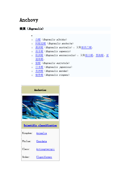 Anchovy(凤尾鱼英文简介)