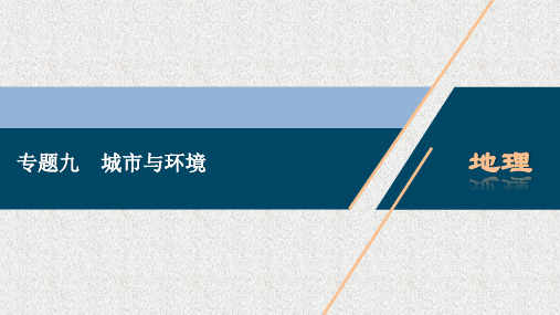 2020浙江高考地理二轮课件：专题九 城市与环境