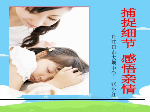初中作文指导:捕捉细节,感悟亲情ppt1优秀作文