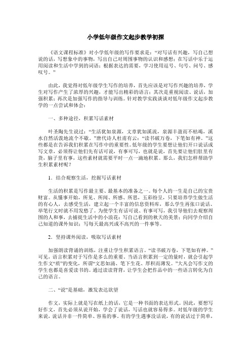 小学低年级作文起步教学初探