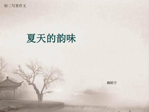 初二写景作文《夏天的韵味》800字(总12页PPT)