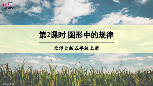 北师大版小学数学五年级上册《图形中的规律》教学课件