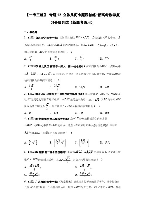 专题12 立体几何小题压轴练(原卷版)