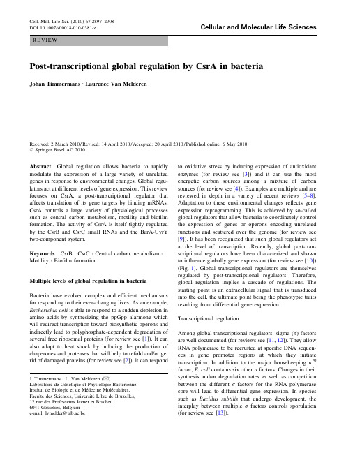 Post-transcriptional global regulation by CsrA in bacteria