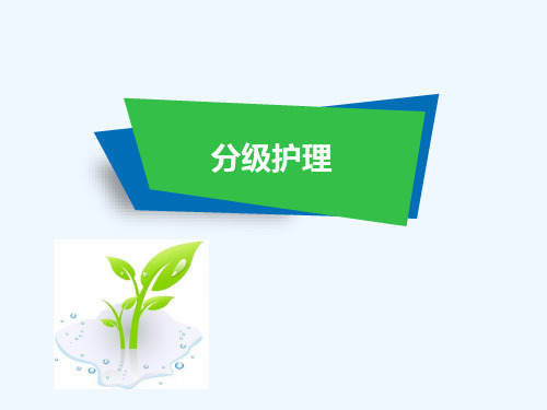 分级护理 PPT