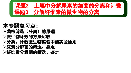 46 尿素分解菌、纤维素分解菌的筛选和分离-【一轮全考点】备战2022年高考生物一轮复习专题课件