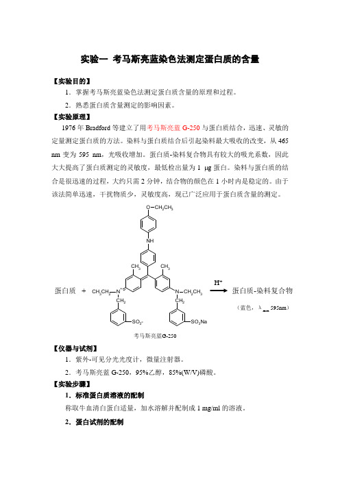 考马斯亮蓝染色法测定蛋白质的含量