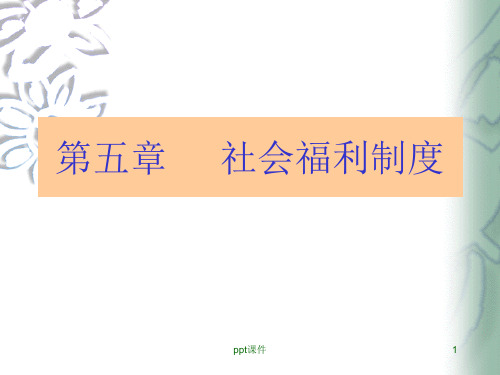 社会工作与社会福利制度的关系  ppt课件