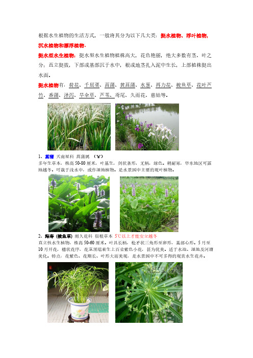 【免费下载】贵州省常用水生植物收集整理