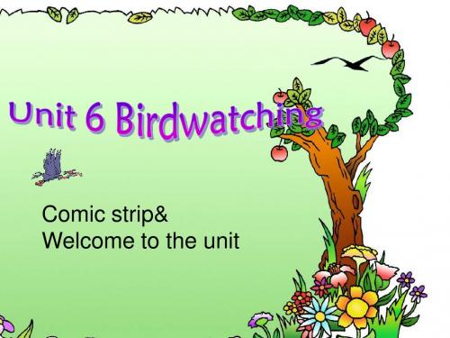 牛津译林英语八上Unit 6 Bird watching Welcome to the unit优质课件