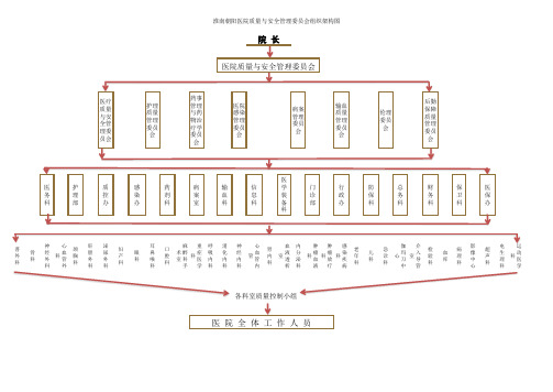 医院质量与安全管理组织架构图