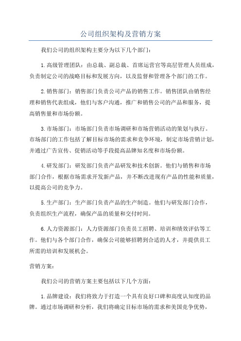 公司组织架构及营销方案