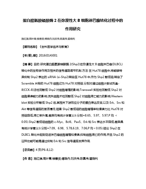 蛋白酪氨酸磷酸酶2在弥漫性大B细胞淋巴瘤转化过程中的作用研究