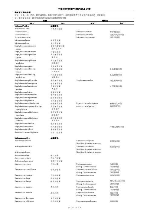 中英文对照微生物名称