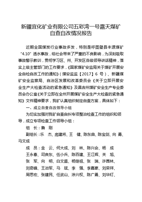 新疆宜化矿业有限公司自查自改报告5.6(165)