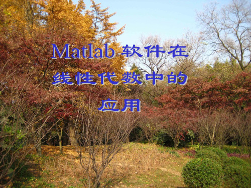 Matlab在线性代数中的应用