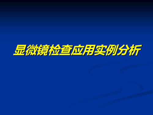 显微镜检查实例分析