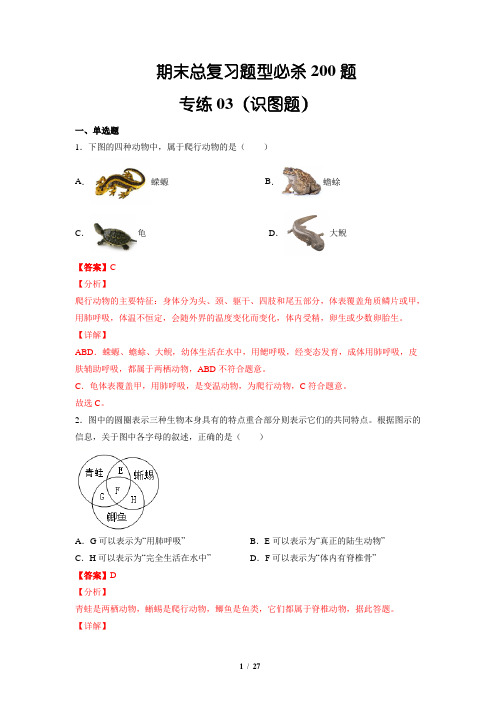 (识图题)八年级生物上学期期末题型必杀16题(人教版)(解析版)