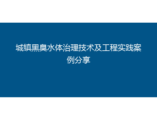 城镇黑臭水体治理技术及工程实践案例分享