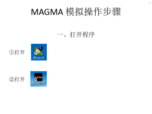 MAGMA 模拟操作步骤