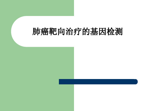 肺癌靶向治疗的基因检测PPT课件