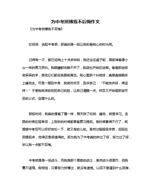 为中考拼搏我不后悔作文