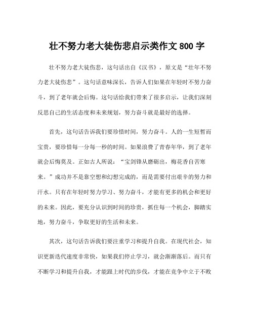 壮不努力老大徒伤悲启示类作文800字